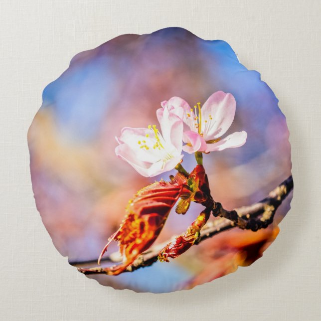 Two Amazing Sakura Flowers. Pink, Blue Background Round Pillow (Back)