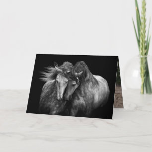 Two Andalusian Stallions - Horse Greeting Card