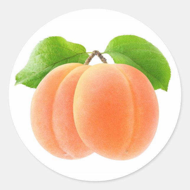 Two apricots classic round sticker (Front)