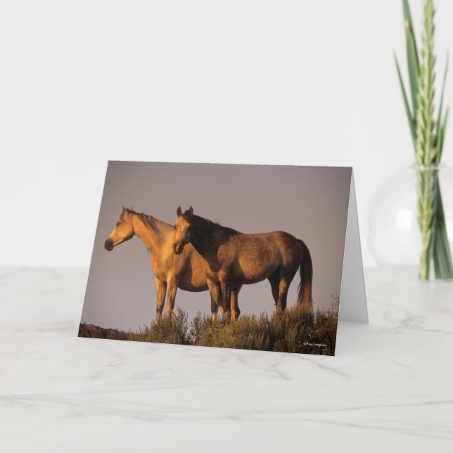 Two Arabs Standing Together Evening Light Card (Front)