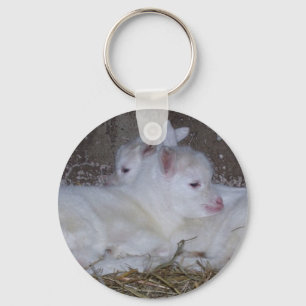 Two Baby Goats in Straw Keychain