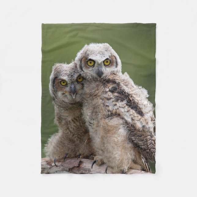 Two Baby Great Horned Owls Fleece Blanket (Front)