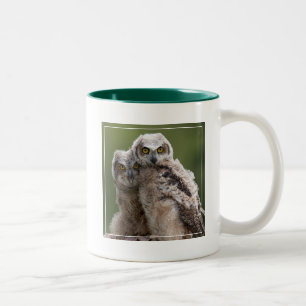 Two Baby Great Horned Owls Two-Tone Coffee Mug