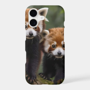 Two Baby Red Panda Bears In A Tree,