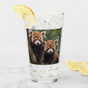 Two Baby Red Panda Bears In A Tree, Glass