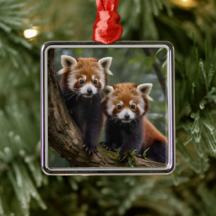 Two Baby Red Panda Bears In A Tree, Metal Ornament