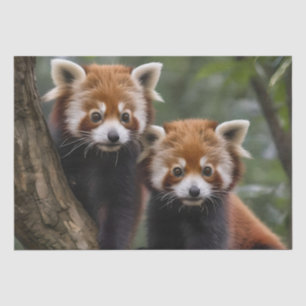 Two Baby Red Panda Bears In A Tree, Tissue Paper