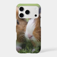 Two Baby Tortoiseshell Guinea Pigs,