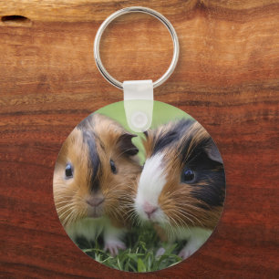 Two Baby Tortoiseshell Guinea Pigs, Keychain