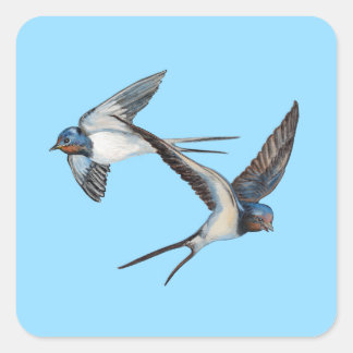 Two Barn Swallows Flying High in the Blue Sky Square Sticker
