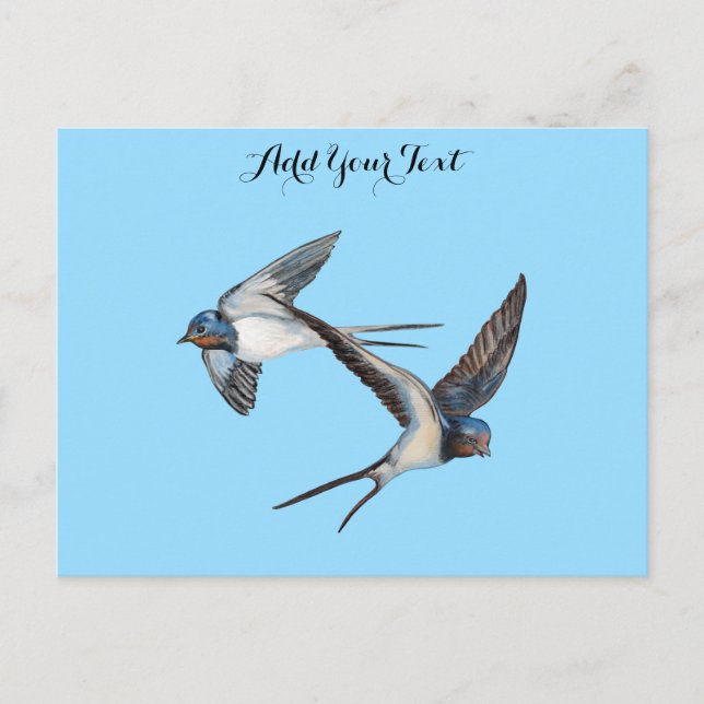 Two Barn Swallows Flying Personalized Postcard (Front)