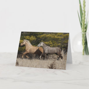 Two Bashkir Curly Horses Running Together Card