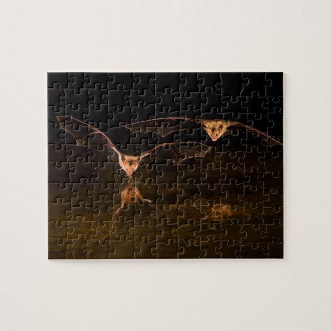 Two bats flying over water, Arizona Jigsaw Puzzle (Horizontal)