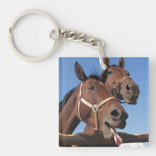 Two Bay Horses, Horse Stick Out Tongue Keychain