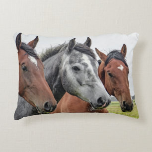 Two Bays and a Grey, Three Horses in a Row Accent Pillow