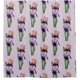 Two Bearded Irises One Maroon One Purple