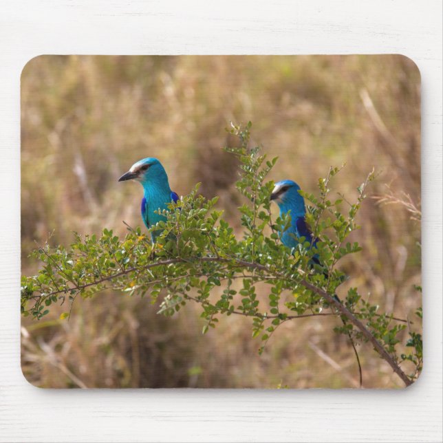 Two Beautiful Blue Birds on a Branch Mouse Pad (Front)