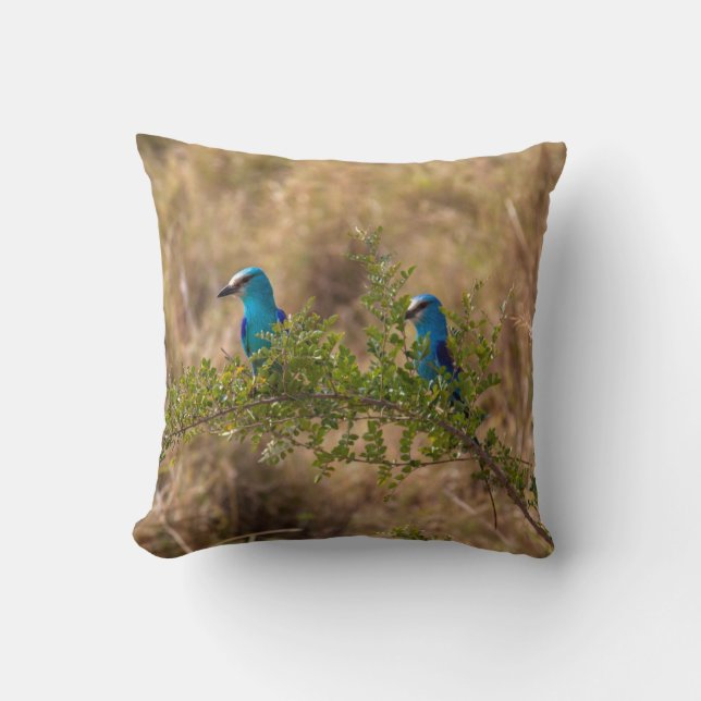 Two Beautiful Blue Birds on a Branch Throw Pillow (Front)