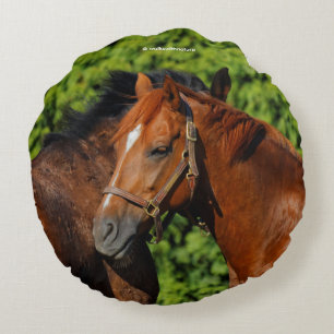 Two Beautiful Chestnut Horses in the Sun Round Pillow