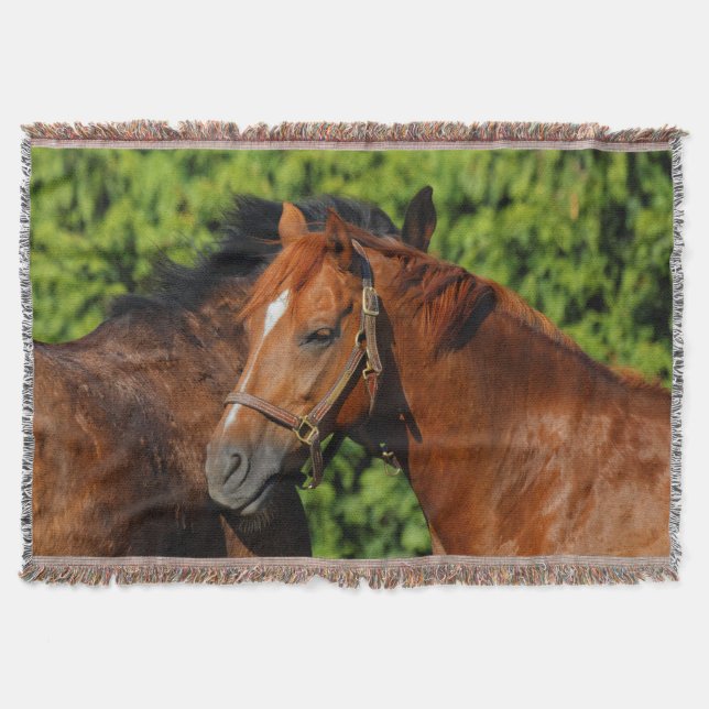 Two Beautiful Chestnut Horses in the Sun Throw Blanket (Front)