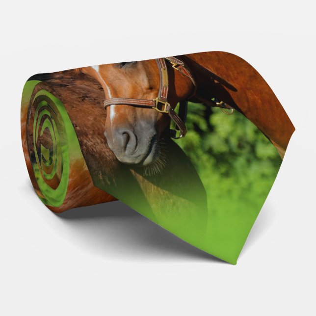 Two Beautiful Chestnut Horses in the Sun Tie (Rolled)