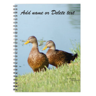 Two Beautiful Ducks Notebook