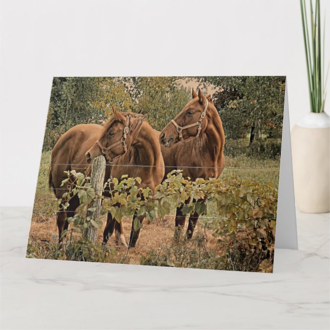 Two Beautiful Horses - Happy Birthday Card (Front)