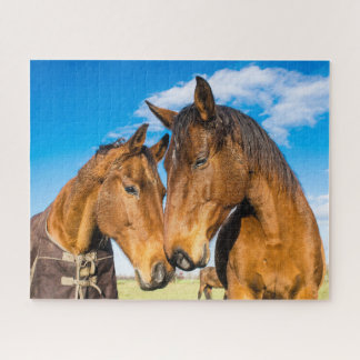 Two Beautiful Horses  Jigsaw Puzzle