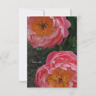 Two Beautiful Pink Peonies Card