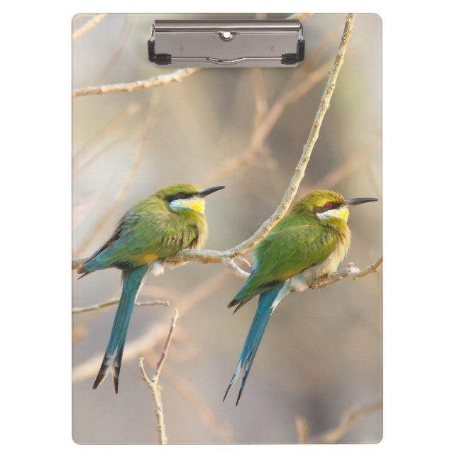 Two Bee-eaters Clipboard (Front)