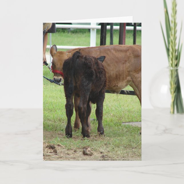 Two Beef Show Entries Card (Front)