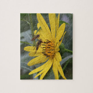 Two Bees puzzle