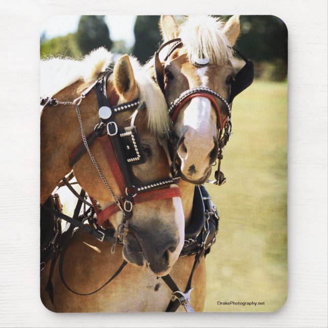 Two Belgian Draught   Horses Mouse Pad (Front)