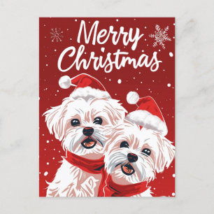 Two Bichon Frise Merry Christmas Postcard