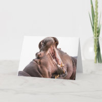 Two Big Mouth Hippo's Card