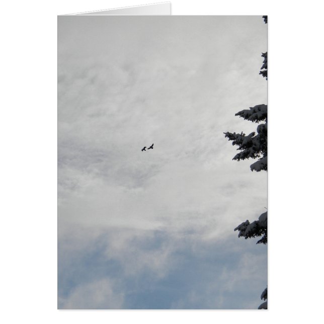 Two Birds Flying High (Front)