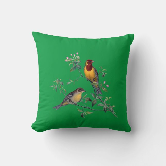 Two Birds on Flowering Branches Throw Pillow (Front)