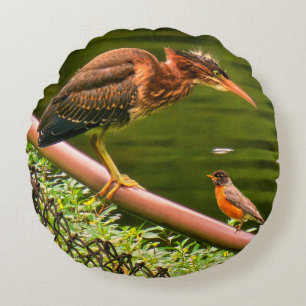 Two birds round pillow