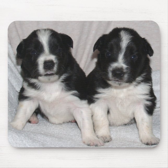 two black and white puppies mouse pad (Front)
