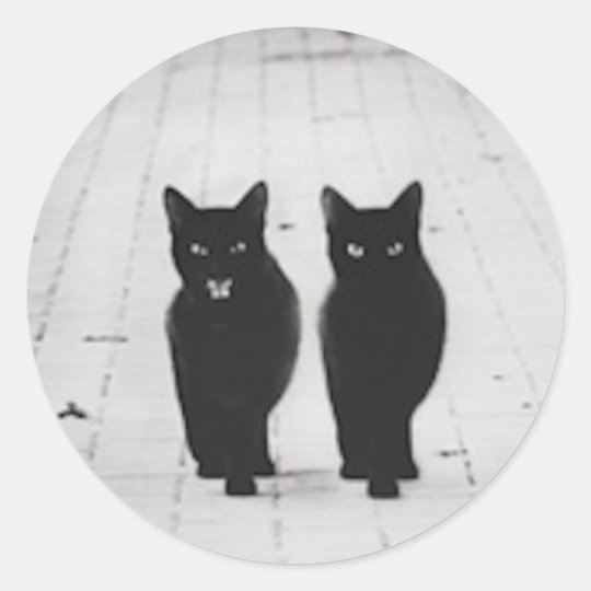 Two Black Cats sticker