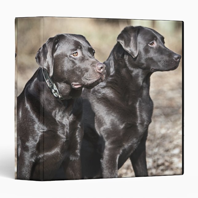 Two Black Labrador retrievers Binder (Front/Spine)