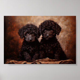 Two Black Poodle puppies Poster