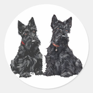Two Black Scottish Terriers Classic Round Sticker