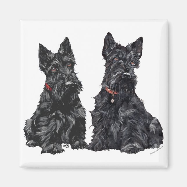 Two Black Scottish Terriers Magnet (Front)