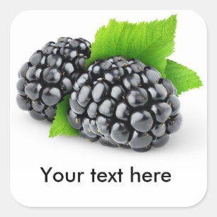 Two blackberries square sticker