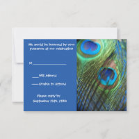 Two Blue Peacock Feathers RSVP