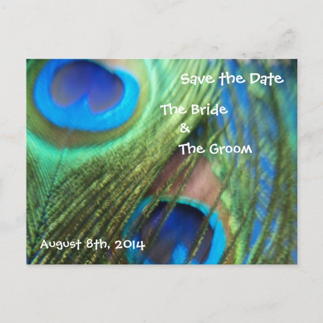 Two Blue Peacock Feathers Save the Date Announcement Postcard (Front)