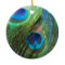 Two Blue Peacock Still Life