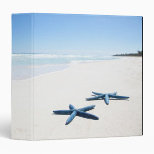 Two blue starfish at water's edge on tropical 2 binder