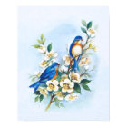Two Bluebirds